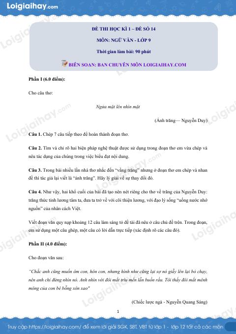 Đề số 14 - Đề kiểm tra học kì 1 (Đề thi học kì 1) - Ngữ văn 9